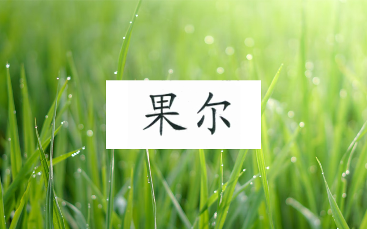 “杲尔”无效及“果尔”商标的保护