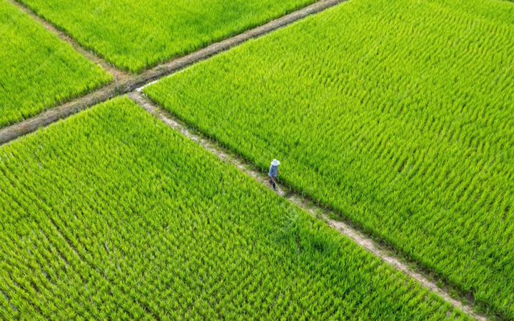 三聚阳光助新农科赢得商标异议答辩